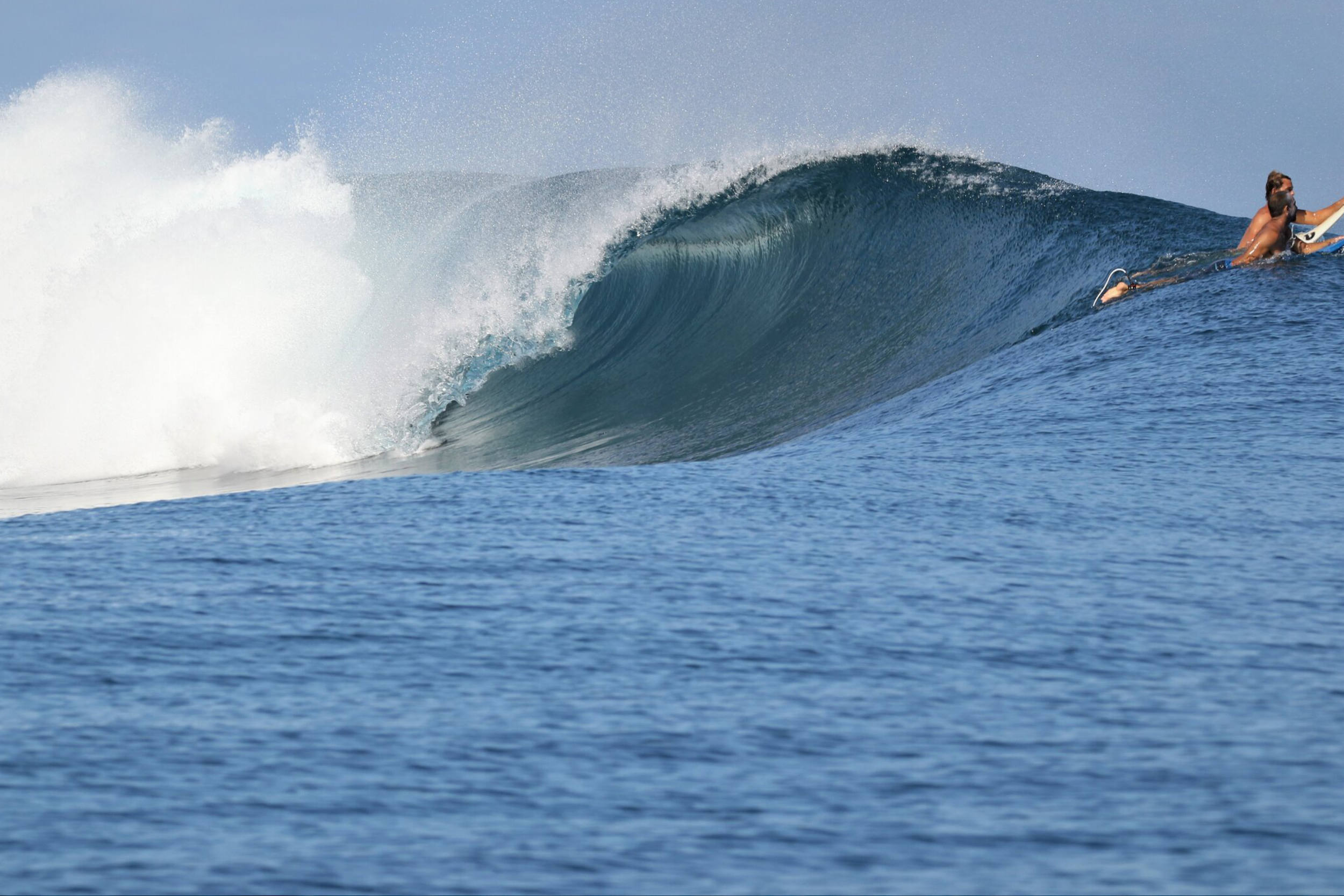 Surf - Favela Mentawai | Awera Resort